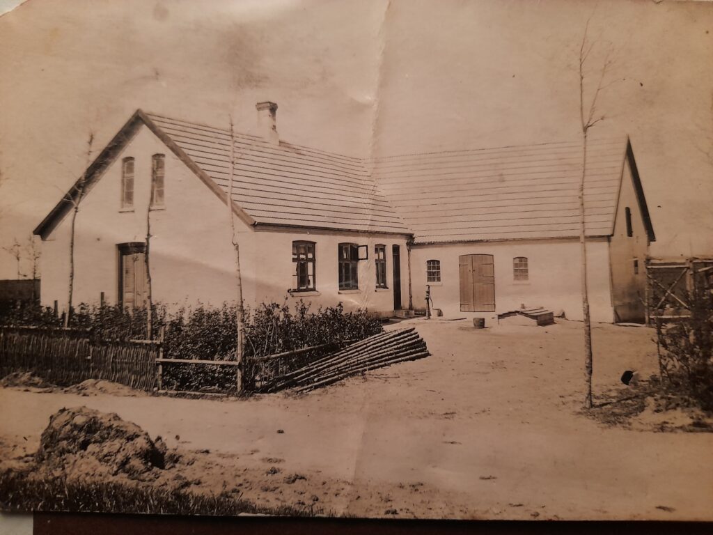 Bjørnskovgaard - (7)