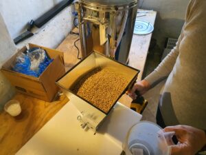 Bjørnskovgaard - Maling af malt
