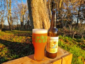 Hyldeblomst pale ale
